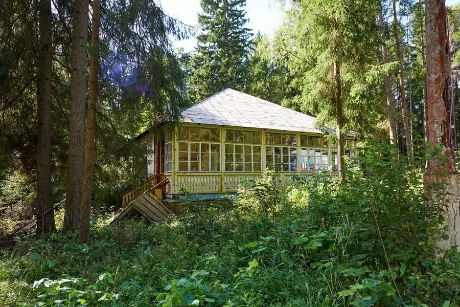 СТАРЫЙ ПИОНЕРЛАГЕРЬ( ДОМИКИ В ЛЕСУ+ ЛЕСОПОВАЛ) 