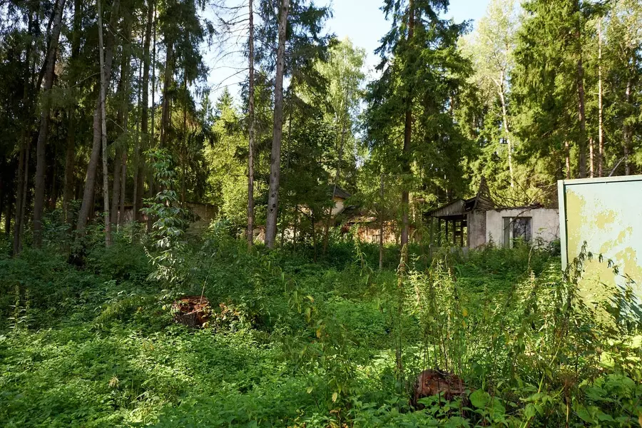 СТАРЫЙ ПИОНЕРЛАГЕРЬ( ДОМИКИ В ЛЕСУ+ ЛЕСОПОВАЛ) 