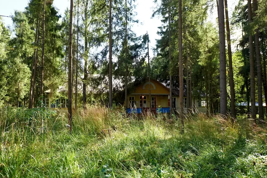СТАРЫЙ ПИОНЕРЛАГЕРЬ( ДОМИКИ В ЛЕСУ+ ЛЕСОПОВАЛ) 