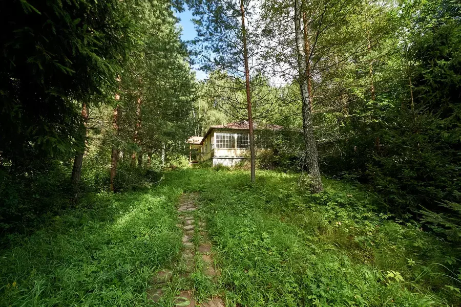 СТАРЫЙ ПИОНЕРЛАГЕРЬ( ДОМИКИ В ЛЕСУ+ ЛЕСОПОВАЛ) 